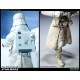 Star Wars Snowtrooper Sixth Scale Figure 30cm